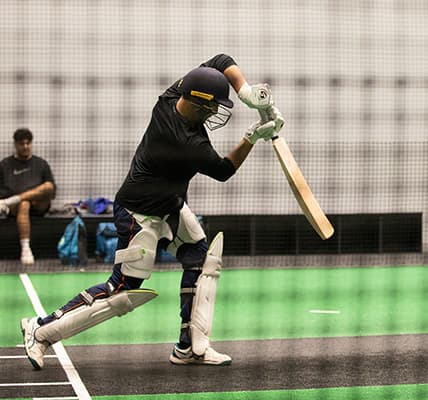 Cricket